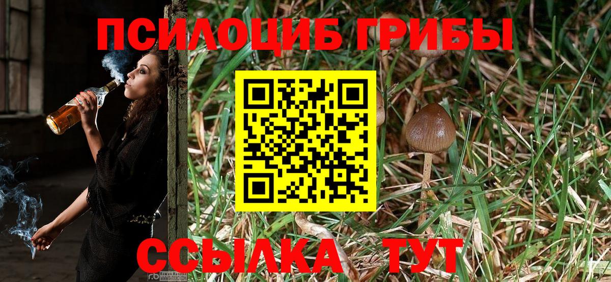 Галлюциногенные грибы MAGIC MUSHROOMS Омск