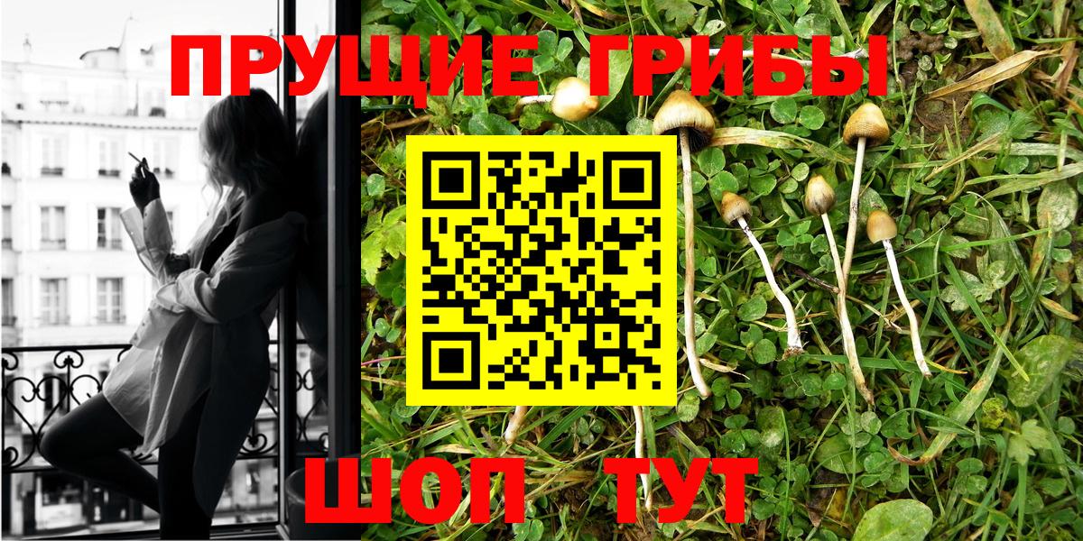 Псилоцибиновые грибы GOLDEN TEACHER  Вход с VPN  Псилоцибиновые грибы MAGIC MUSHROOMS  Омск 